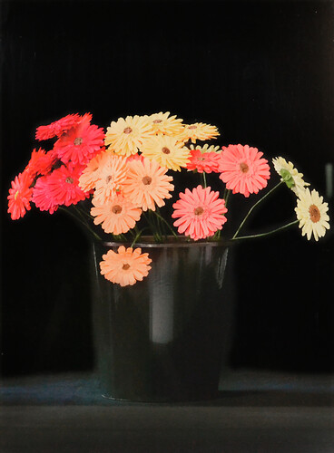 Margarete Schrüfer: Blüten/ Schau. C-Print 
28cm mal 21cm
2010/ 2011