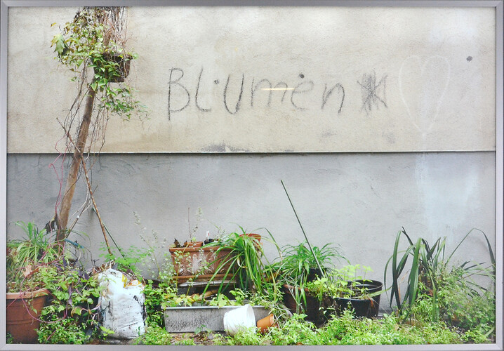 Margarete Schrüfer: Blumen. C-Print/ Leuchtobjekt 
58cm mal 82cm 
o.J.