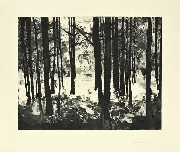 Mat Saunders: Landschaft III (heller Wald). Radierung 
(Ex. 17/24) 
53,5cm mal 62,5cm
2015