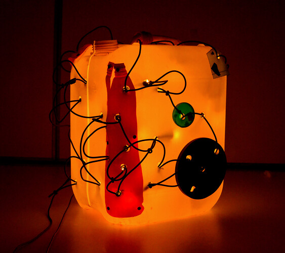 Karsten Neumann: Leuchtkanister aus Betgang. Kunststoffkanister/ Lichterkette 
30cm mal 24cm mal 18,5cm 
2015